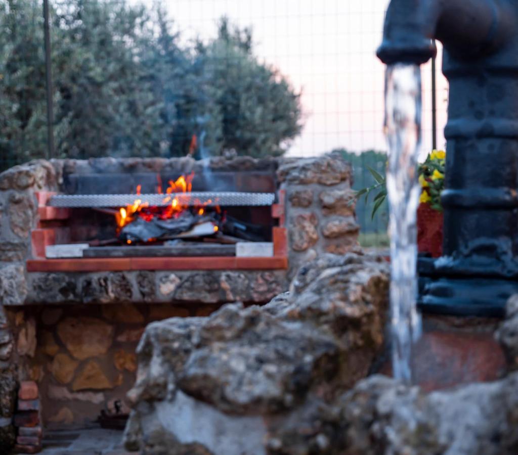 Bed and Breakfast Le Rose Nettuno Exterior foto