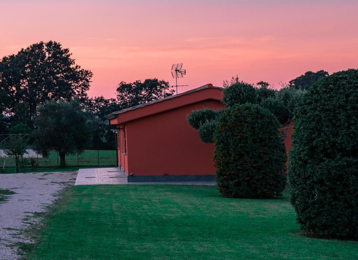 Bed and Breakfast Le Rose Nettuno Exterior foto