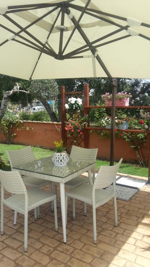 Bed and Breakfast Le Rose Nettuno Exterior foto