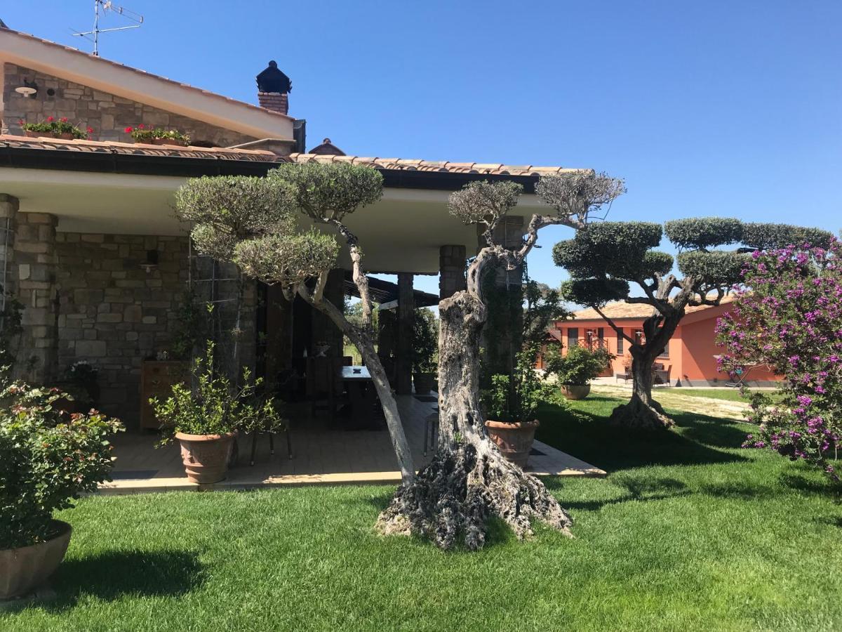 Bed and Breakfast Le Rose Nettuno Exterior foto