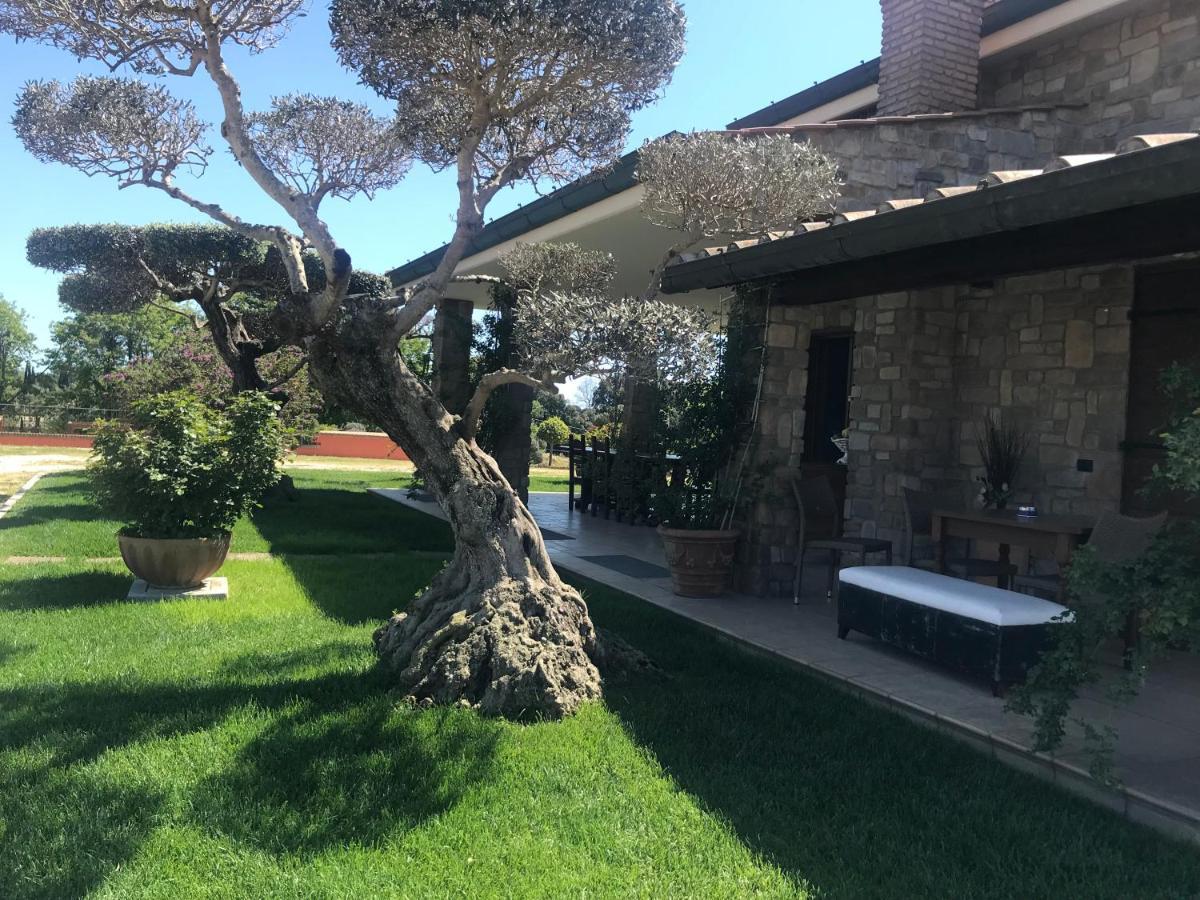 Bed and Breakfast Le Rose Nettuno Exterior foto